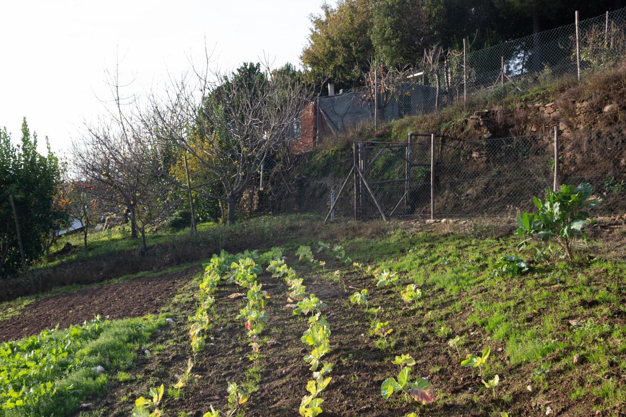 Ecofurtado 빌라 외부 사진